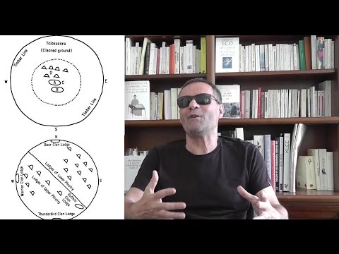 Effetti del tè verde sulla potenza maschile Semi di girasole per la potenza degli uomini