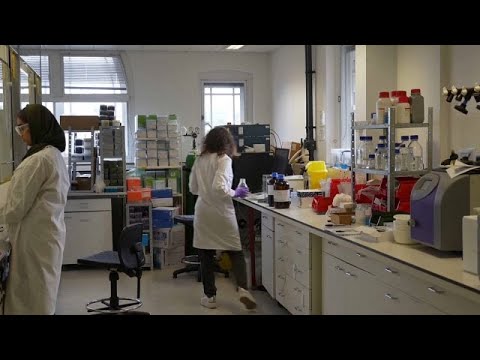 Hoffnung auf neue Medikamente gegen Alzheimer