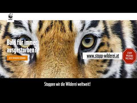 2021 10 24 WWF Stopp Wilderei -  Radiospot