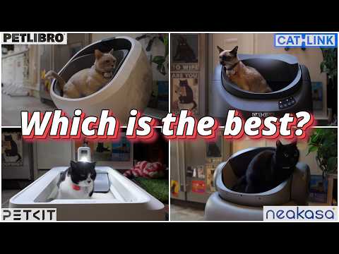 OPEN Self-Cleaning Litter Boxes: Which Is the BEST?