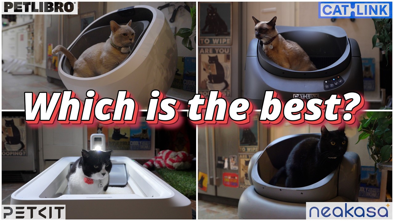 CATLINK Open-X Review