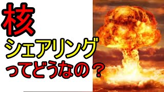 核シェアリングってどうなの？