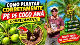 PLANTANDO PÉ DE COCO ANÃO NA CHÁCARA! 🌱 Veja Como Fizemos o Plantio