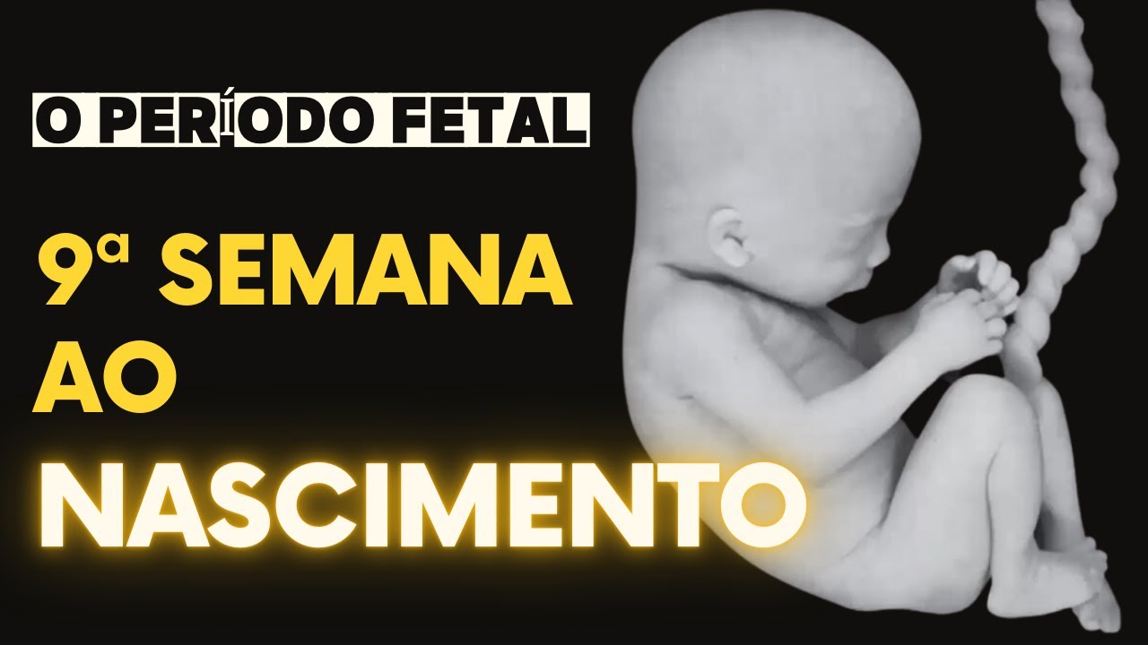 Período fetal: 9ª semana ao Nascimento!