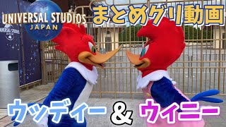 Download lagu 【妄想グリ動画】ウッディーのグリーティングまとめ動画【ウッディーウッドペッカー】 mp3