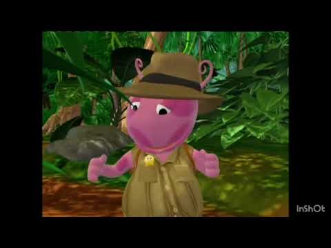 the heart of jungle 🏜 🍾 incredible