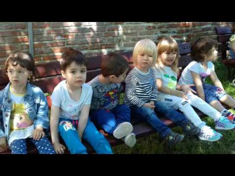 Școala Gimnazială Româno-Finlandeză în Ocolul României