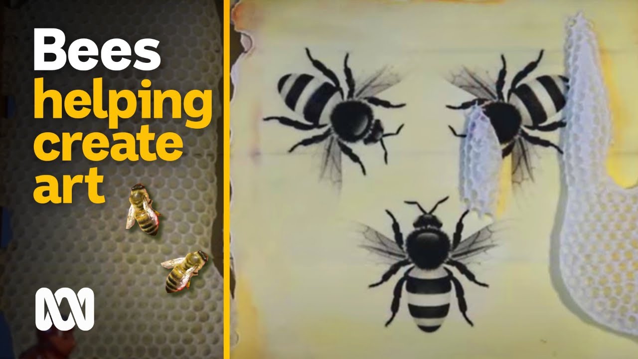 The artist who collaborates with bees