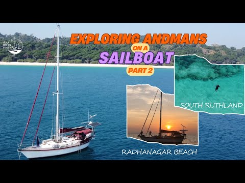 Grey Nurse Shark Encounter & Cinque Islands Magic 🌊 | SV Reeva Sailing Andaman Islands