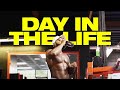 Day In The Life | @Bradley Martyn podcast, Training & more | @Mike Rashid
