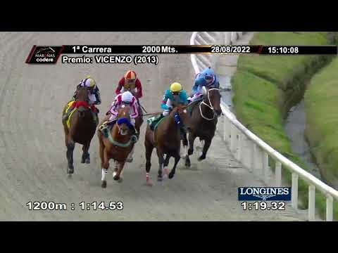 220828 c01 SERRASON JOY (ARG)