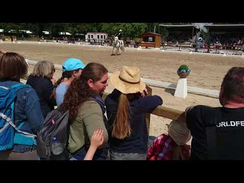 Pferd International 2018 Muenchen Riem - erste Impressionen