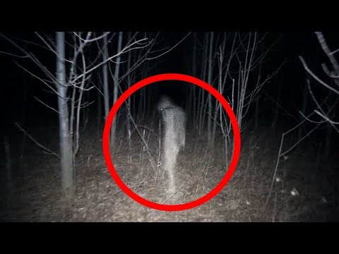 5 Scary Things Caught on Camera In the Woods