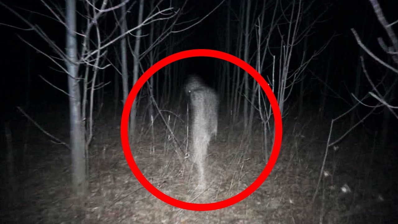 The Top 5 scariest things ever caught on tape in the woods. 