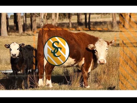 Programa Lunes 22 de Enero de 2018