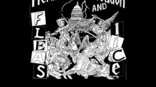 Music video thumbnail preview for Fleas and Lice- Insane by Fleas and Lice
