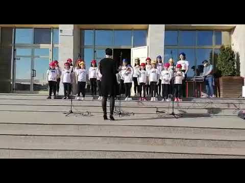 Te-ai trezit canta🤗