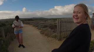 Great ocean road 1