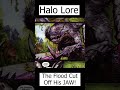 The Flood Cut Off His Jaw! Rtas Vadum | the White Elite Shipmaster - Halo Lore