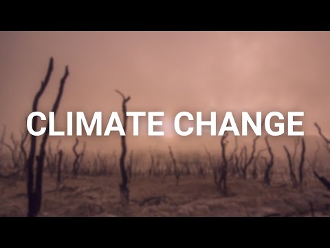 UN: CLIMATE CHANGES, IMPACTS