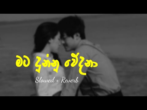 Mata Dunnu Wedana | මට දුන්නු වේදනා ( Slowed + Reverb ) Full Song