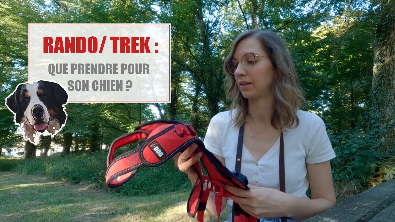 Que contient le sac de mon chien  Spécial trek et rando !