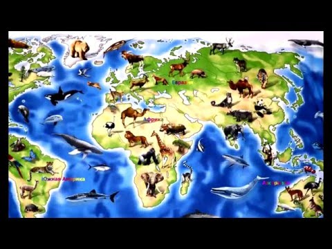 Изучаем материки и океаны нашей планеты
