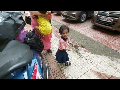 PAHAL NISTA CAT 2023