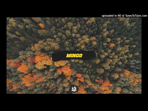 ROCKET x FRESCO x LILDRUGHILL Type Beat - "Mingo" (prod.by @ppurplesauce)