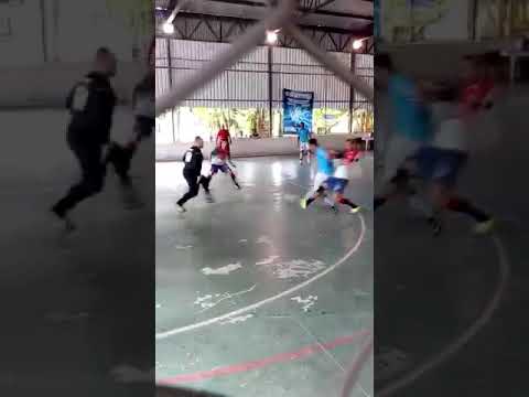 Família Real Brasilândia partir 3