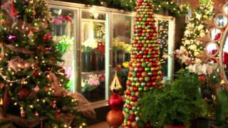 preview picture of video 'Oak Park Christmas Holiday Flowers'