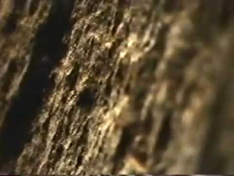 Music by Rick Baitz: "Fresco"  Opening