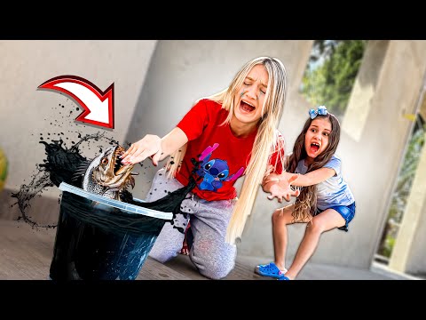 THE PRODUCTION WAS BITTEN BY A BUG INSIDE THE BUCKET!!