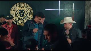 El arbol del mayo panter belico