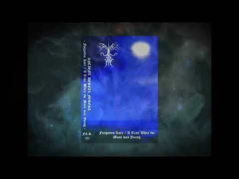 Ancient Boreal Forest - Desert Wraith King