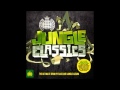 Jungle Classics Megamix (Ministry of Sound UK) HD ...