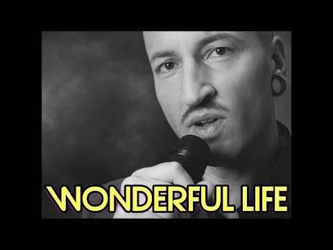 Esken Zova - Wonderful Life (Black)