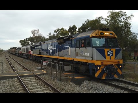 CF4403 + CSR007 + SCT010