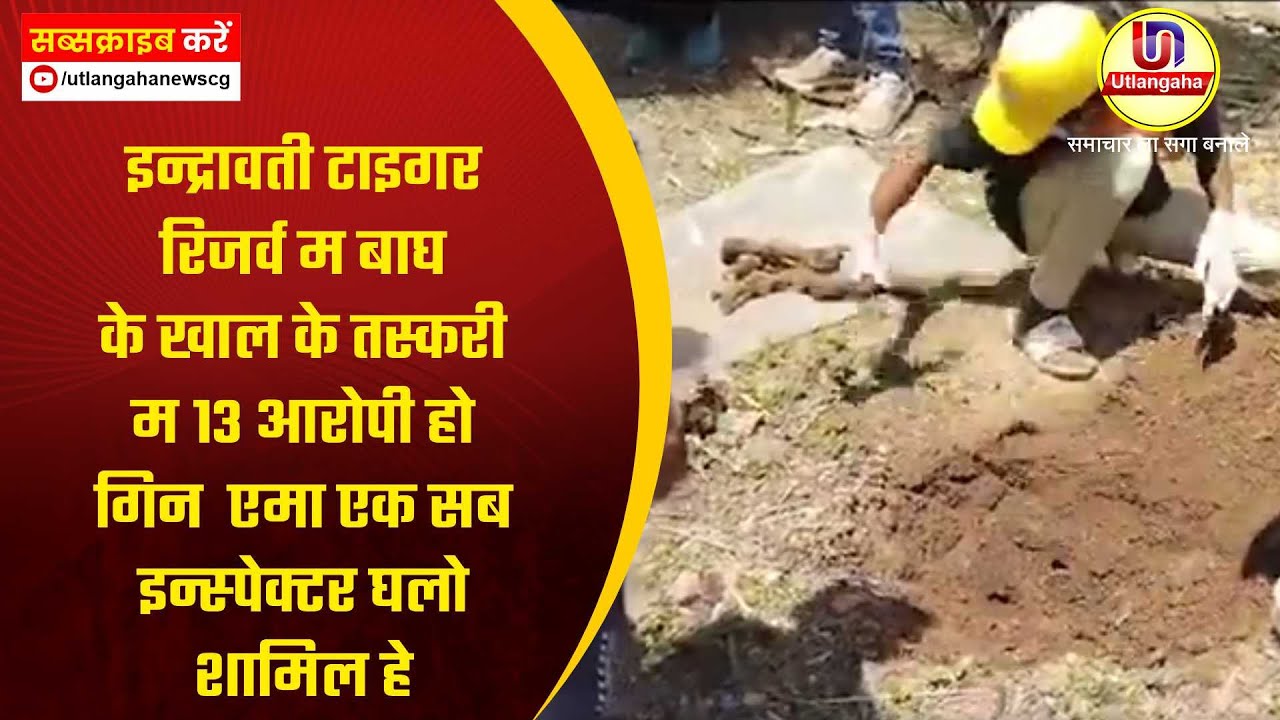 इन्द्रावती टाइगर रिजर्व म बाघ के खाल के तस्करी म 13 आरोपी हो गिन  एमा एक सब इन्स्पेक्टर घलो शामिल हे