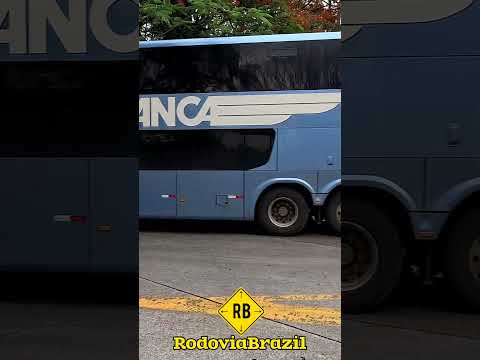 ÁGUIA BRANCA • SANTA CRUZ • ATIBAIA NO TIETÊ #shorts #rodoviabrazil #saopaulo #bus #viagem #sp