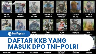 Inilah Daftar KKB yang Masuk DPO dan Diburu TNI-Polri, Kapolda: Ada 6 Kelompok Besar