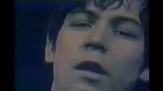 🇬🇧 Eric Burdon &amp; The Animals - Monterey (1967) Subtítulos en español