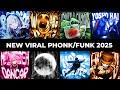 NEW VIRAL FUNK PHONK 2025 BRAZILIAN PHONK PHONK MUSIC 2025