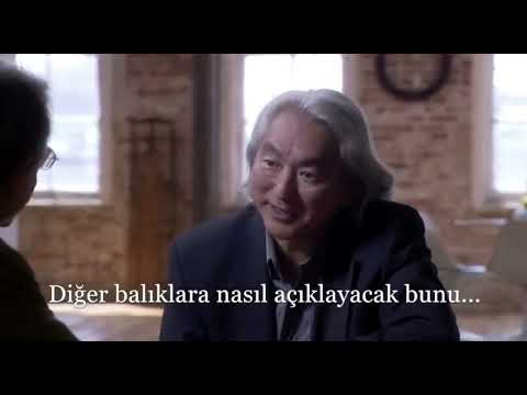 WE ARE THE FISH! | We are the fish!