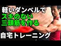 軽いダンベルでスキのない上腕三頭筋を作る自宅トレーニング 太い腕を作る筋トレ 効果を上げるプログラム Triceps workout with light dumbbells