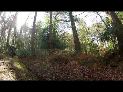 Trail Guide - Exmoor