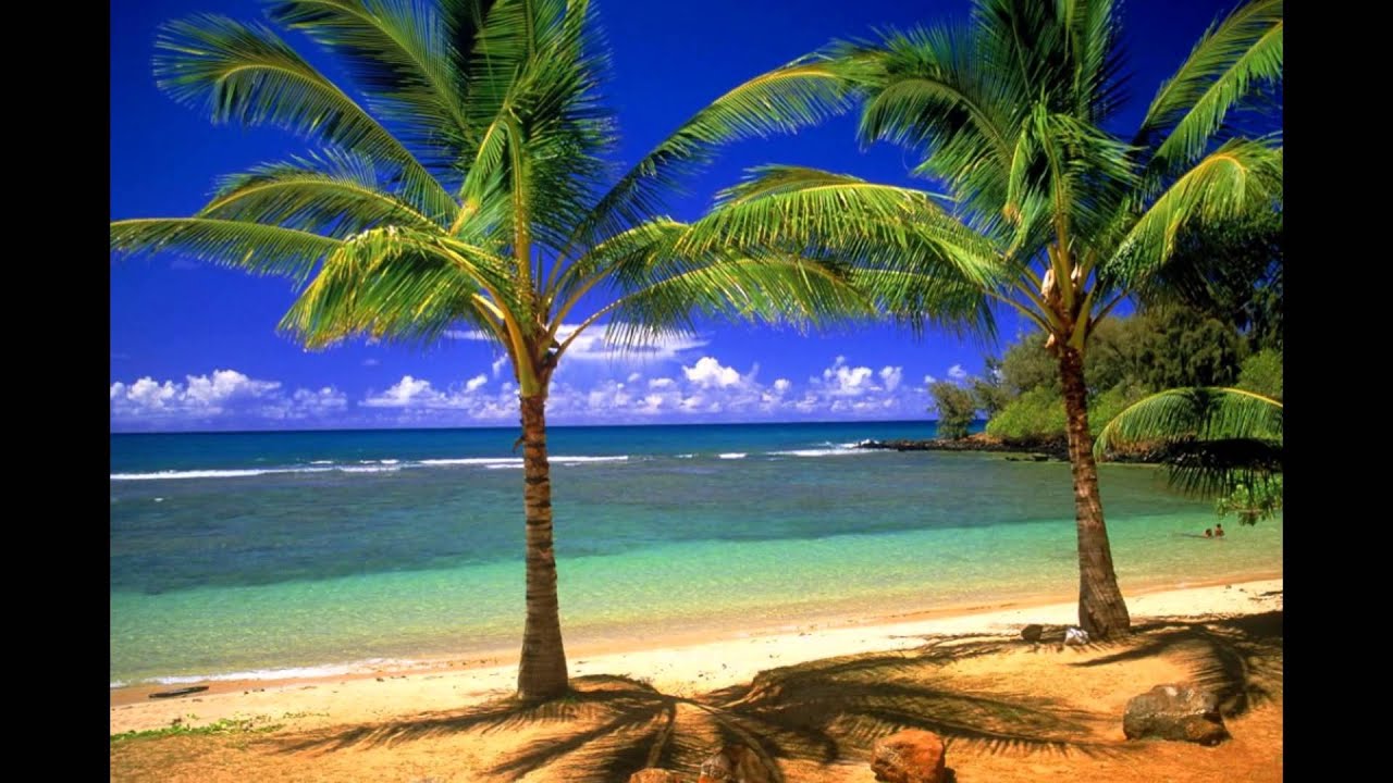 Summer High Quality Wallpaper gallery