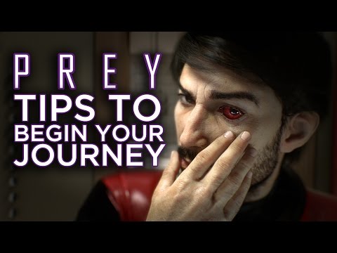 Things I Wish I Knew Before Starting Prey