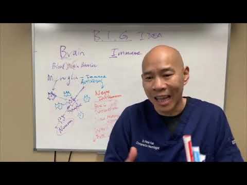 Ask Dr Kan Show Ep 143 - Strategies to Heal the Brain Immune Gut Axis