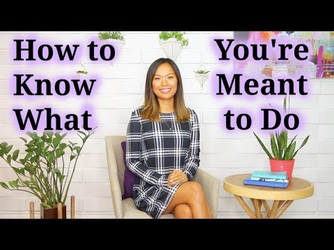 What Should I Do With My Life? (How to Know What You're Meant to Do)